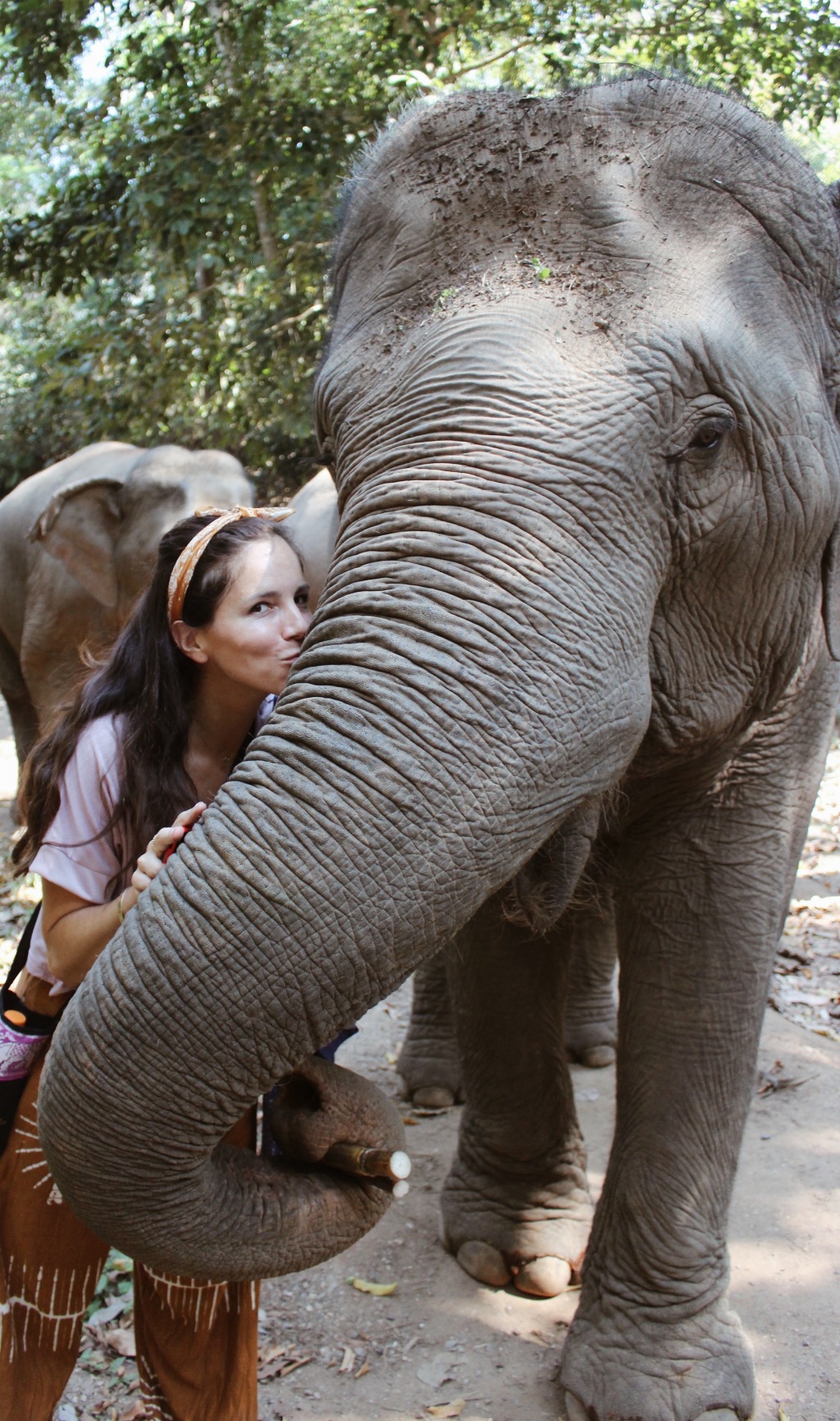 Elephant Kisses, not Elephant Rides.
